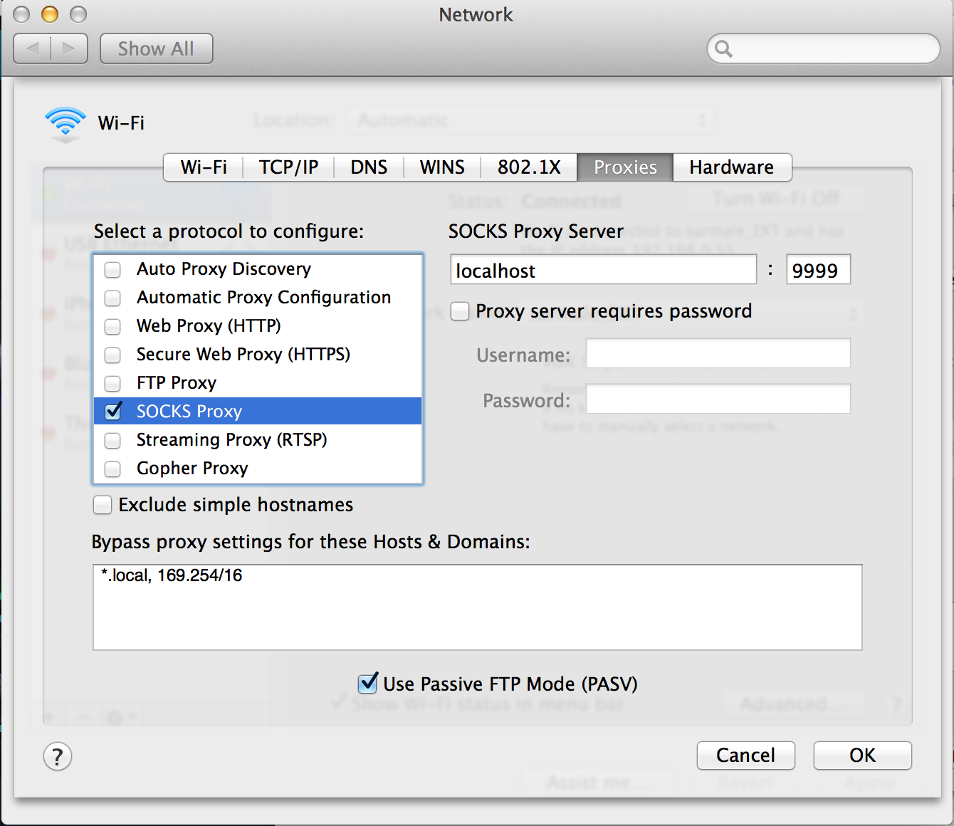 Setting up the SOCKS proxy